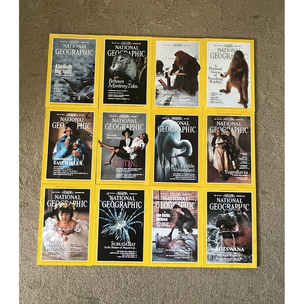 Lot of National Geographic Magazines 1990 lot of 12 full set Jan-dec